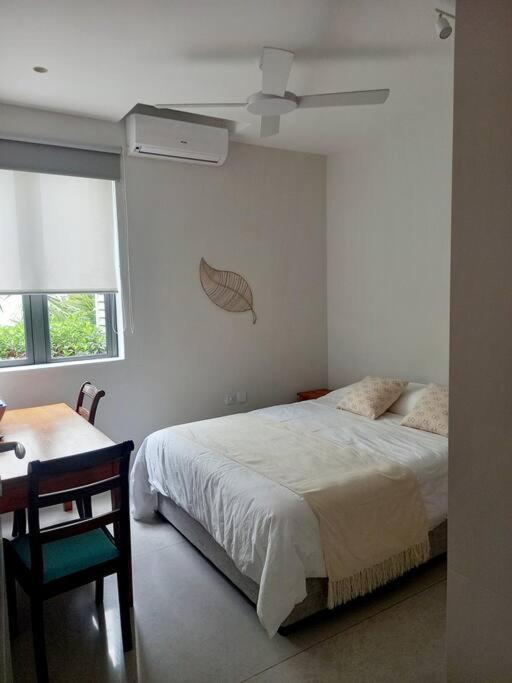 Appartement Beachfront Tamarin